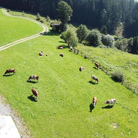 Holiday Flat With National Park Card Included Bramberg am Wildkogel Exterior foto