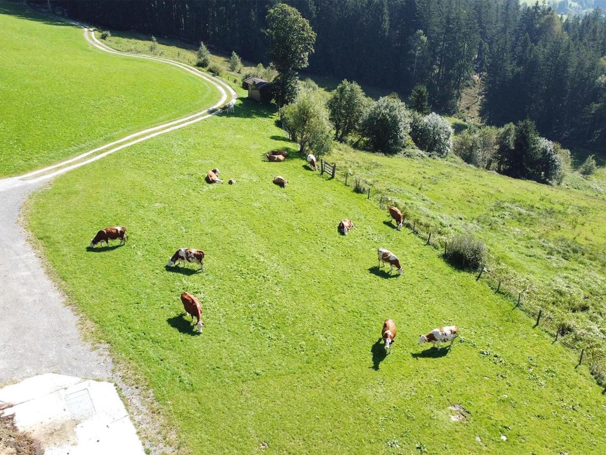 Holiday Flat With National Park Card Included Bramberg am Wildkogel Exterior foto